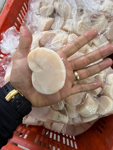 Callo de Hacha